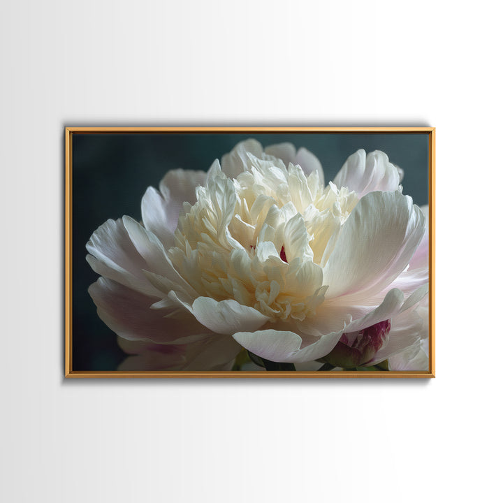 Romantic Neutral Peony Closeup Canvas Print, Master Bedroom, Wall Art Bedroom, Bedroom Decor, Sanctuary, Statement Artwork, MAS-3x2-30