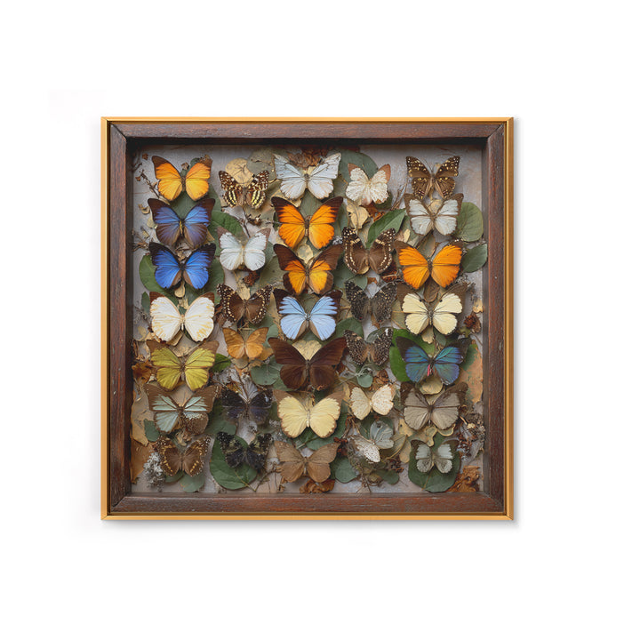 Framed Butterfly Collection Framed Canvas Print, Maximalist Art, Moody Wall Art, Living Room Decor, Fine Art, Maximal, MAX-1x1-71
