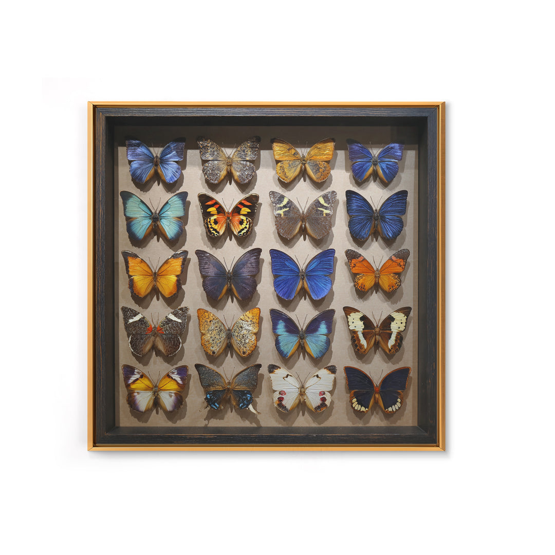 Framed Butterfly Collection Canvas Print, Maximalist Art, Fine Art Print, Living Room Decor, Fine Art, Maximal, Digital Prints, MAX-1x1-95