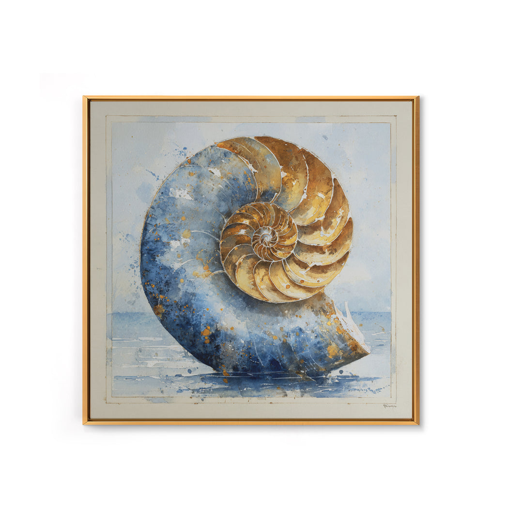 Nautilus Shell Study Canvas Print, Marine Life Art, Beach House Decor, Living Room Decor, Fine Art, Marine, Tropical Wall Art, MLA-1x1-35