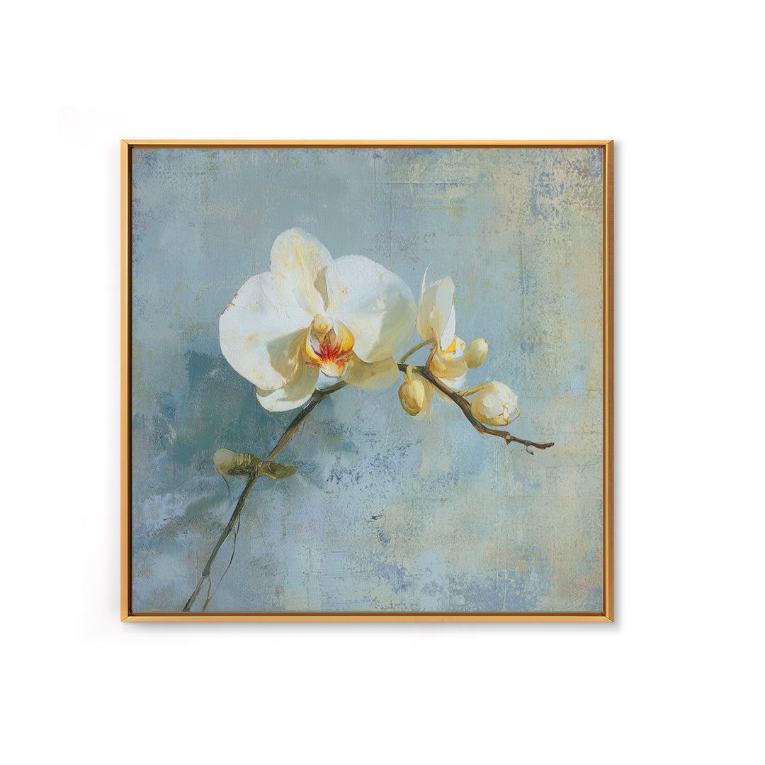 White Orchid on Gray Stone Surface Framed Canvas Print, Medical Office Art, Medical Wall Art, Office Decor, Fine Art, Calm, MOA-1x1-6