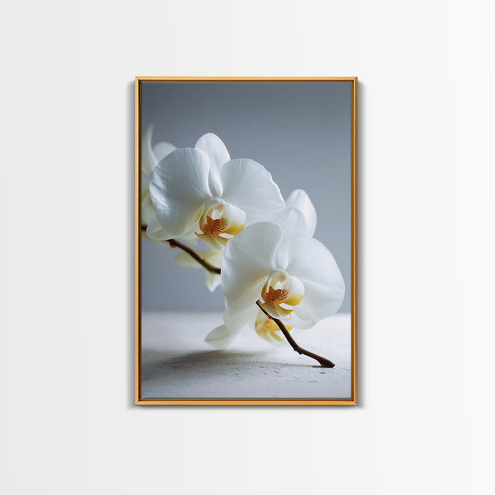 White Orchid on Gray Stone Surface Canvas Print, Medical Office Art, Art Print, Office Decor, Oil Painting, Calm, Printable Art, MOA-2x3-14