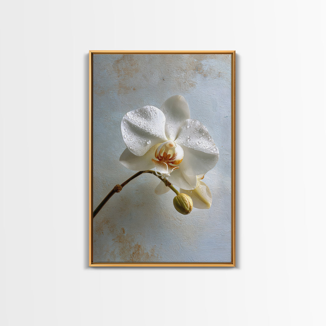 White Orchid on Gray Stone Surface Canvas Print, Medical Office Art, Digital Wall Art, Office Decor, Calm, Healthcare Wall Art, MOA-2x3-86
