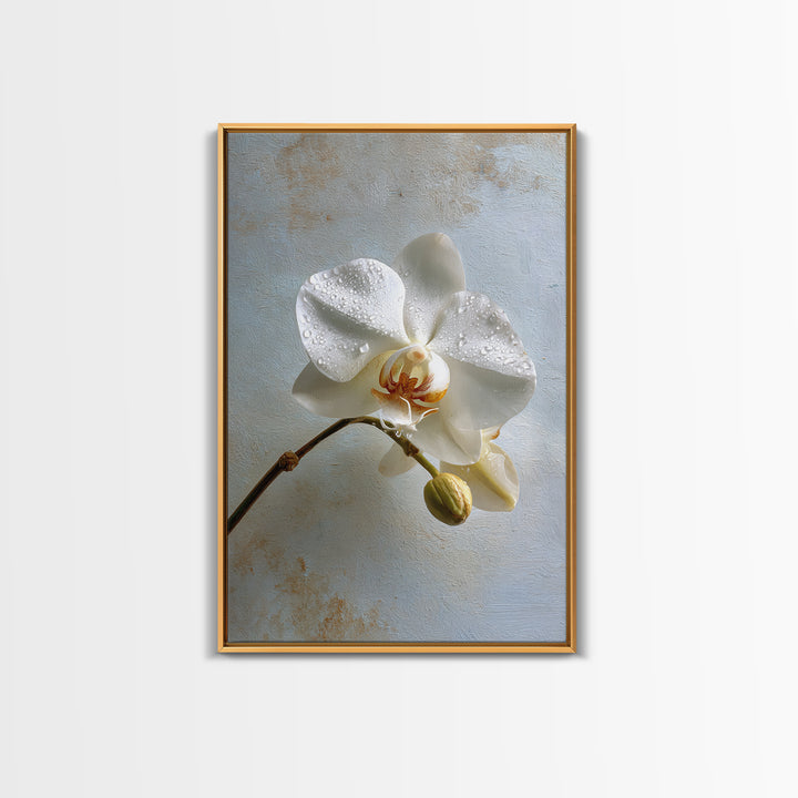 White Orchid on Gray Stone Surface Canvas Print, Medical Office Art, Digital Wall Art, Office Decor, Calm, Healthcare Wall Art, MOA-2x3-86