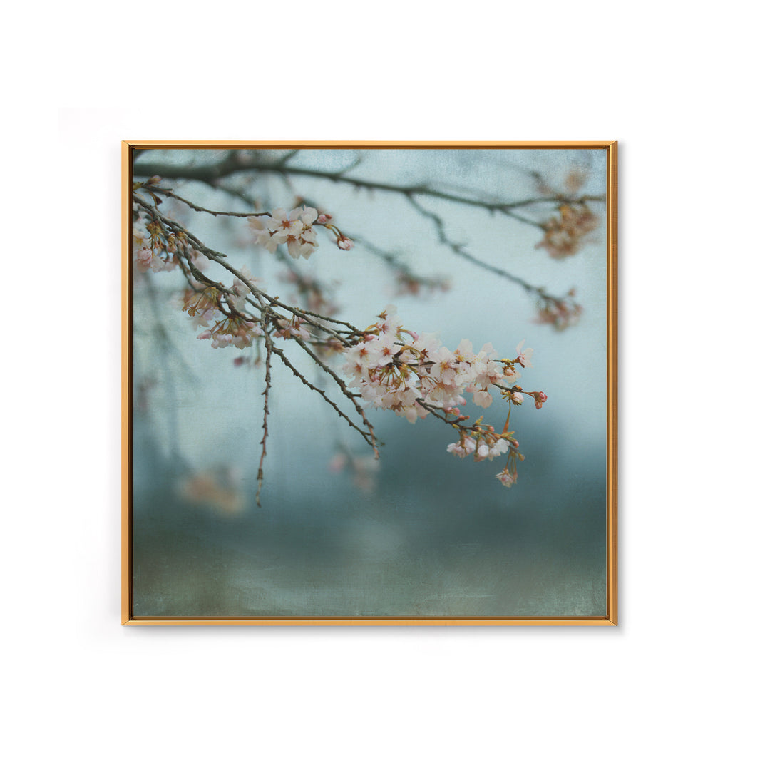 Spring Cherry Blossoms Framed Canvas Print, Nature Art, Art Print, Living Room Decor, Fine Art, Nature, Printable Wall Art, NAT-1x1-40
