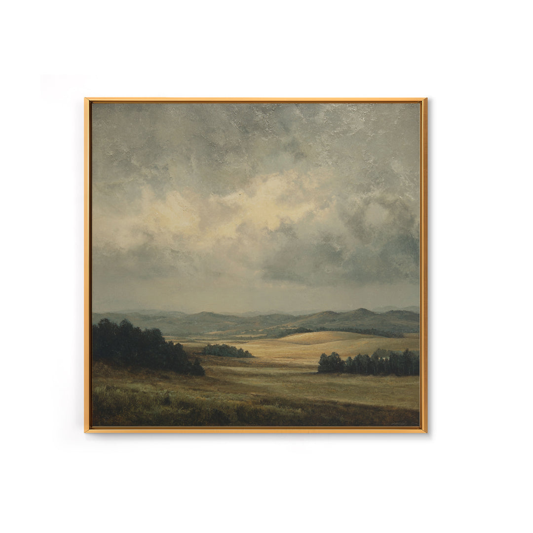 Storm Clouds over a Rolling Prairie Framed Canvas Print, Nature Art, Bird Wall Art, Living Room Decor, Fine Art, Nature, NAT-1x1-62