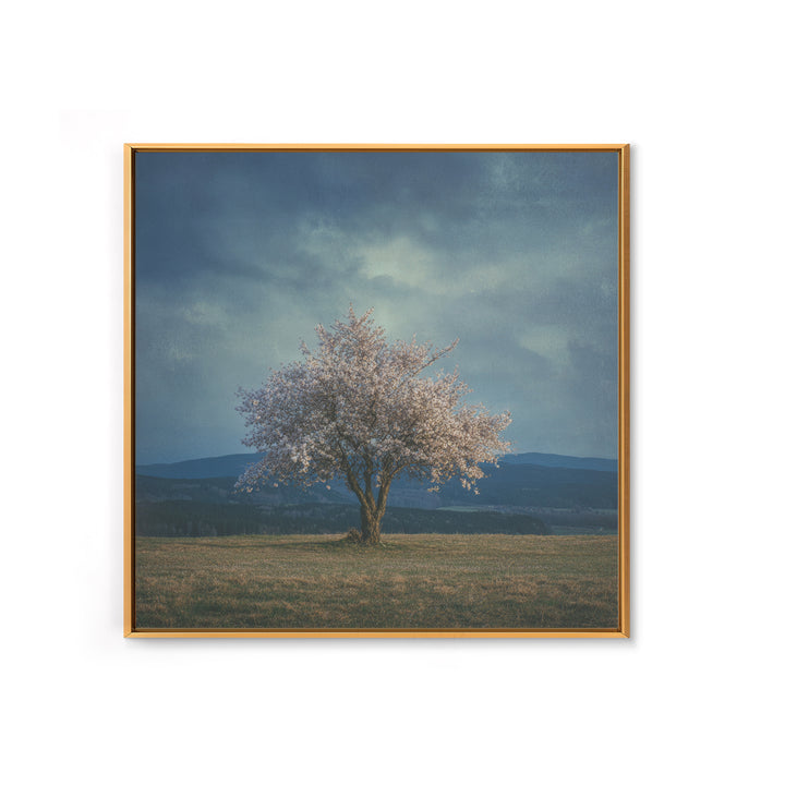 Spring Cherry Blossoms Framed Canvas Print, Nature Art, Modern Wall Art, Living Room Decor, Fine Art, Nature, Mountain Art, NAT-1x1-64