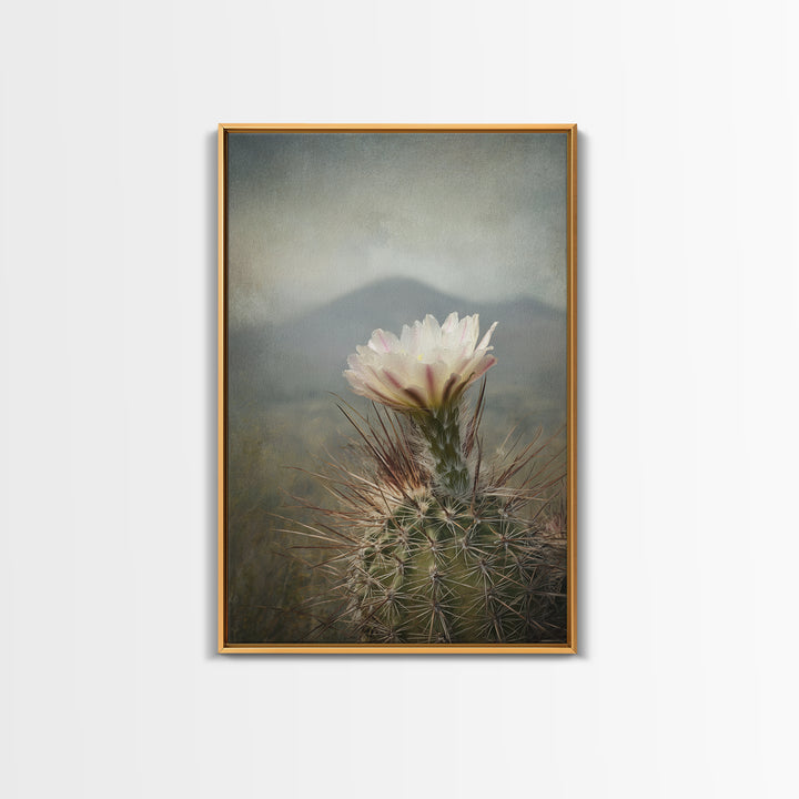 Desert Cactus Blooming After Rain Framed Canvas Print, Nature Art, Living Room Decor, Oil Painting, Nature, Ocean Art, NAT-2x3-28