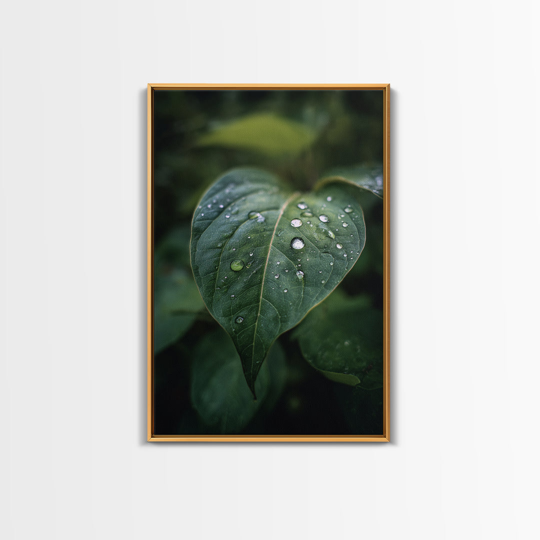 Rain Drops on a Large Green Leaf Canvas Print, Nature Art, Floral, Living Room Decor, Oil Painting, Nature, Moss Art, NAT-2x3-65