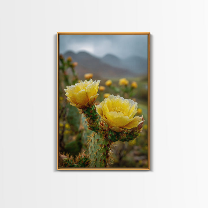 Desert Cactus Blooming After Rain Framed Canvas Print, Nature Art, 3d Wall Art, Living Room Decor, Watercolor Art, Nature, NAT-2x3-76