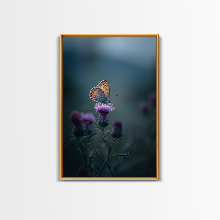 Butterfly Resting on a Blooming Thistle Framed Canvas Print, Nature Art, Landscape Art, Living Room Decor, Fine Art, Nature, NAT-2x3-84