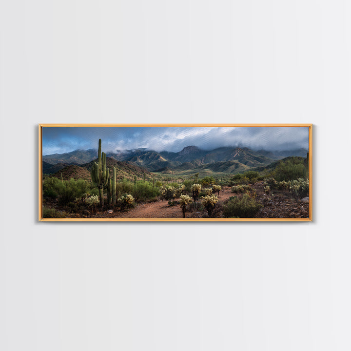 Desert Cactus Blooming After Rain Canvas Print, Nature Art, Mountain Art, Living Room Decor, Fine Art, Nature, Minimalist Decor, NAT-3x1-36
