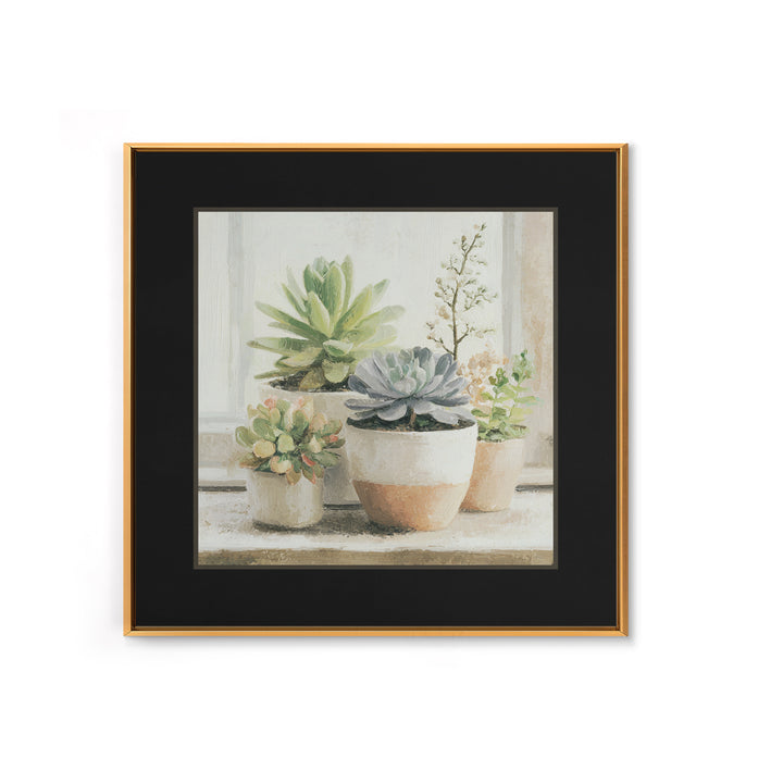 Succulent Collection in Ceramic Planters Framed Canvas Print, Patio Art, Mixed Media Art, Patio Decor, Fine Art, Outdoor, PAT-1x1-21