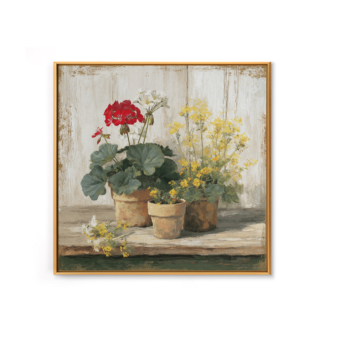 Potted Geraniums in Rustic Clay Pots Framed Canvas Print, Patio Art, Family Wall Art, Patio Decor, Fine Art, Outdoor, PAT-1x1-38