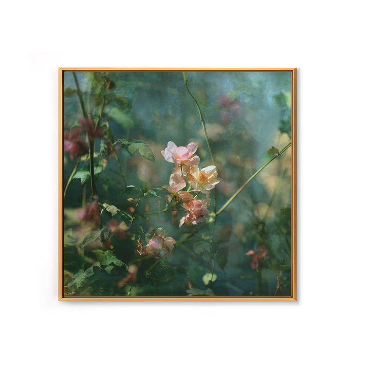 Sunset over Garden Flowers and Vines Framed Canvas Print, Patio Art, Fine Art Print, Patio Decor, Fine Art, Outdoor, Wall Decor, PAT-1x1-79