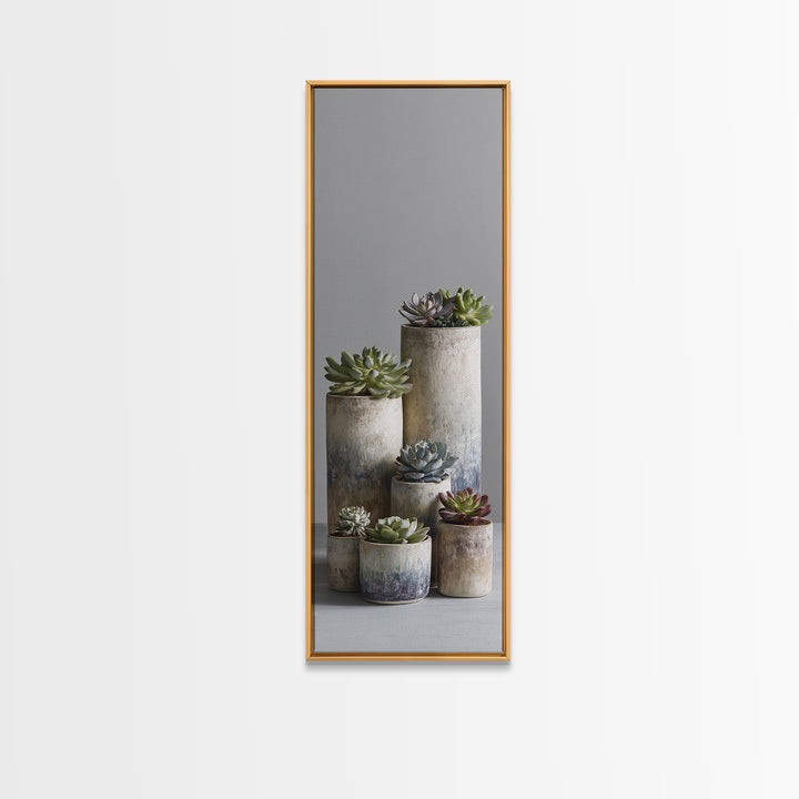 Succulent Collection in Ceramic Planters Canvas Print, Patio Art, Outdoor Wall Decor, Patio Decor, Fine Art, Outdoor, PAT-1x3-81