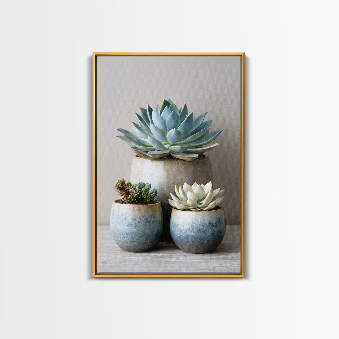 Succulent Collection in Ceramic Planters Canvas Print, Patio Art, Outdoor Wall Decor, Patio Decor, Fine Art, Outdoor, PAT-2x3-77