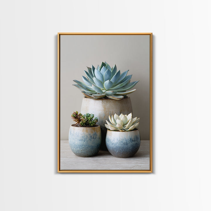 Succulent Collection in Ceramic Planters Canvas Print, Patio Art, Outdoor Wall Decor, Patio Decor, Fine Art, Outdoor, PAT-2x3-77