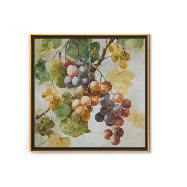 Wine Grapevine Botanical Study Framed Canvas Print, Restaurant Art, Neutral Decor, Restaurant Decor, Oil Painting, Bistro, RES-1x1-63