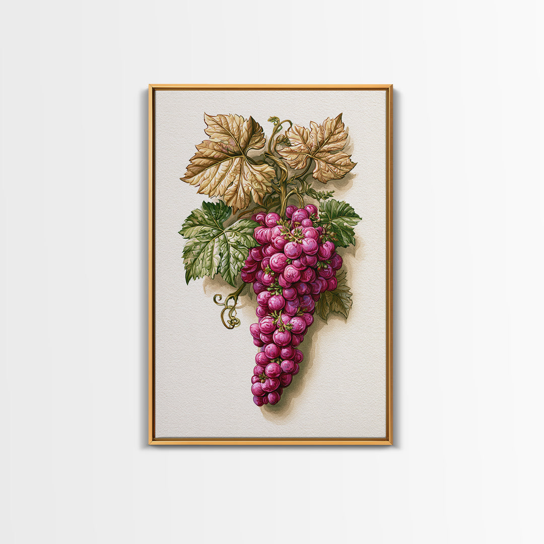 Wine Grapevine Botanical Study Canvas Print, Restaurant Art, Canvas, Restaurant Decor, Fine Art, Bistro, Living Room Decor, RES-2x3-23