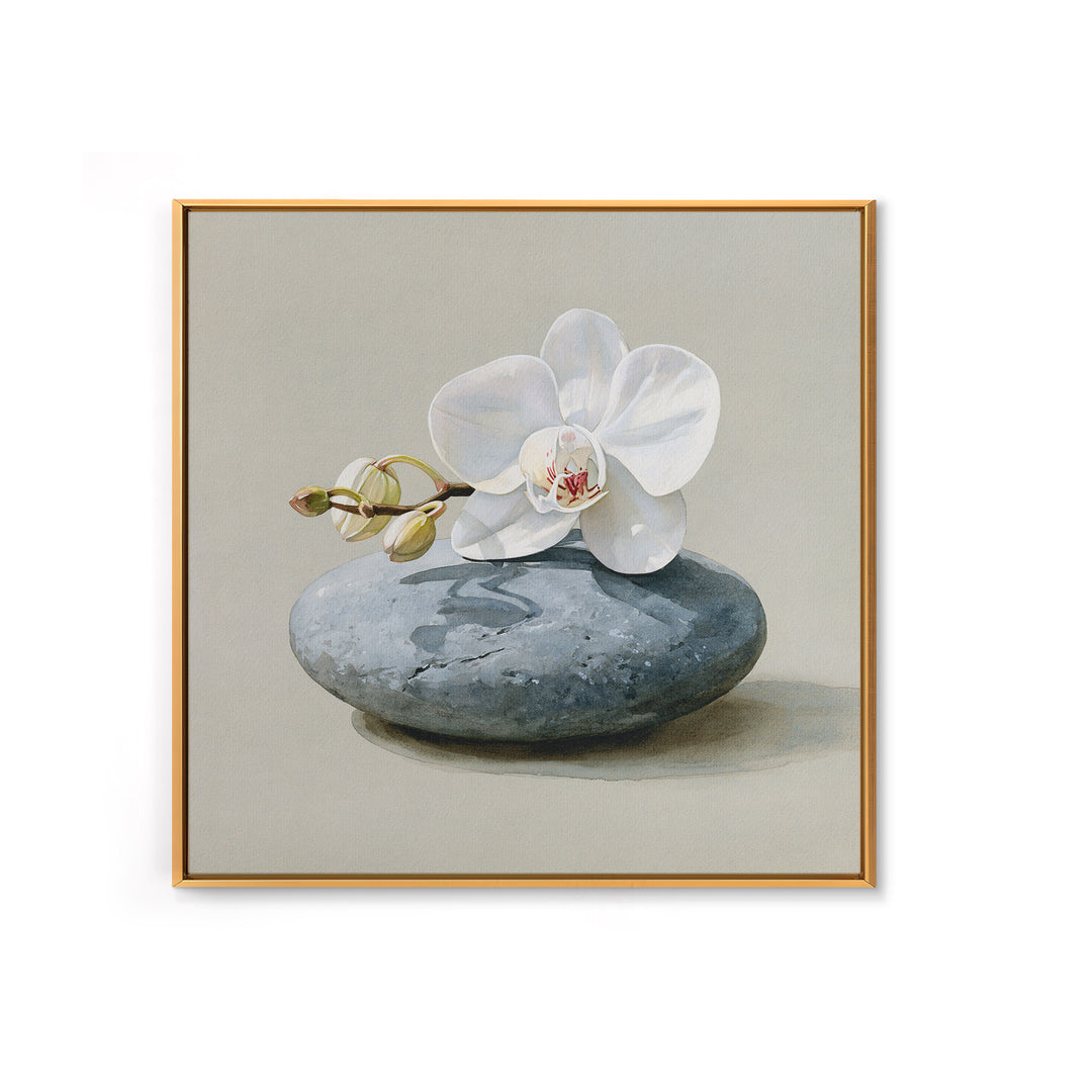 White Orchid on Smooth Gray Stone Canvas Print, Spa Art, Tarot Card Art, Spa Decor, Fine Art, Serenity, Textured Painting, SPA-1x1-26