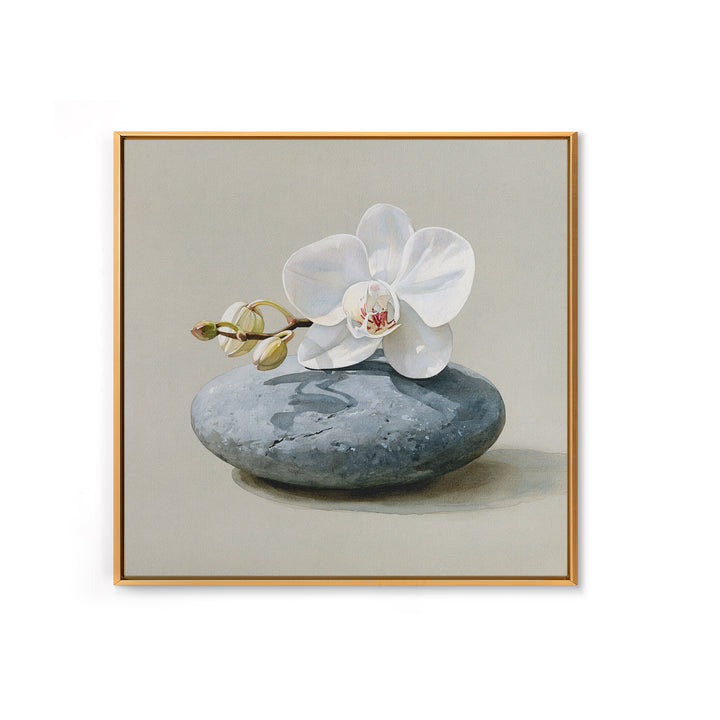 White Orchid on Smooth Gray Stone Canvas Print, Spa Art, Tarot Card Art, Spa Decor, Fine Art, Serenity, Textured Painting, SPA-1x1-26