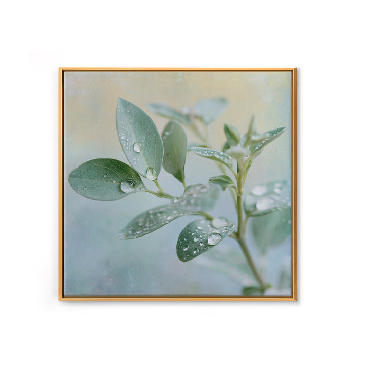Rain on Leaves Framed Canvas Print, Spa Art, Art Print, Spa Decor, Serenity, Botanical Art, Nature Prints, Travel Poster, SPA-1x1-40