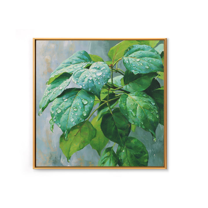 Rain on Leaves Framed Canvas Print, Spa Art, Animal Art, Spa Decor, Fine Art, Serenity, Gallery Decor, Neutral Decor, SPA-1x1-64