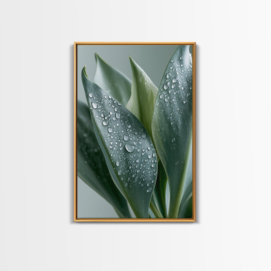 Rain on Leaves Framed Canvas Print, Spa Art, Modern Decor, Spa Decor, Fine Art, Serenity, Wall Decor, Printable Wall Art, SPA-2x3-24
