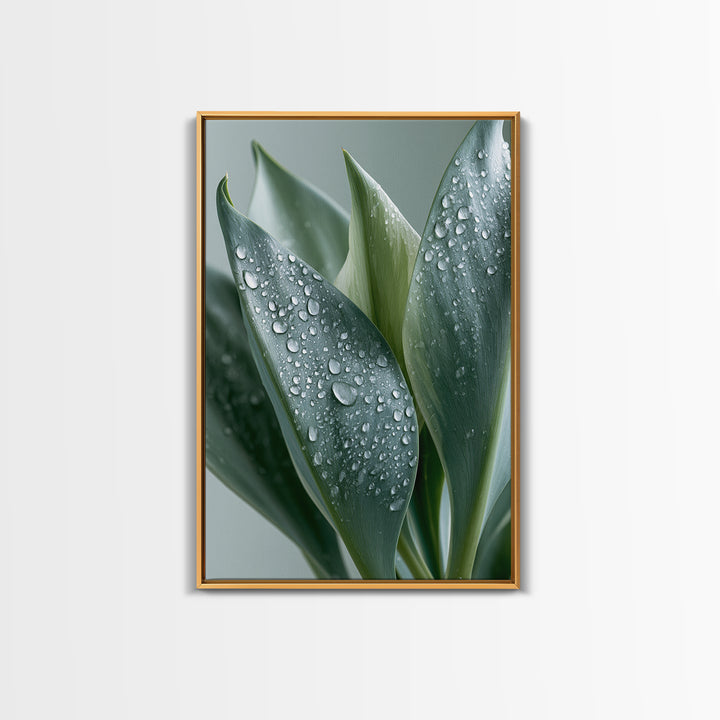 Rain on Leaves Framed Canvas Print, Spa Art, Modern Decor, Spa Decor, Fine Art, Serenity, Wall Decor, Printable Wall Art, SPA-2x3-24