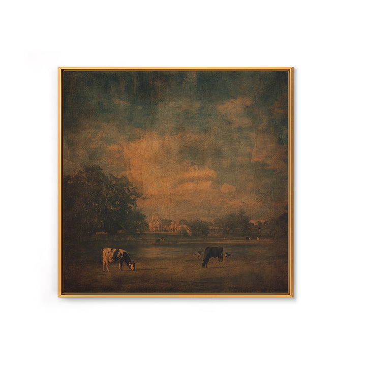 Pastoral Countryside with Cows in Field Framed Canvas Print, Traditional Art, Artwork, Living Room Decor, Fine Art, Classic, TRA-1x1-7