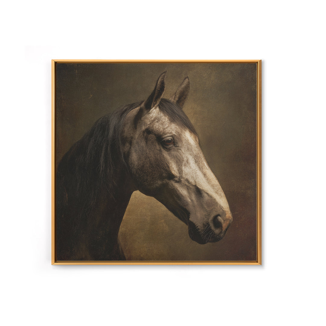 Realistic Horse Portrait Canvas Print, Traditional Art, Art, Living Room Decor, Classic, Printable Art, Art Commissions, TRA-1x1-99