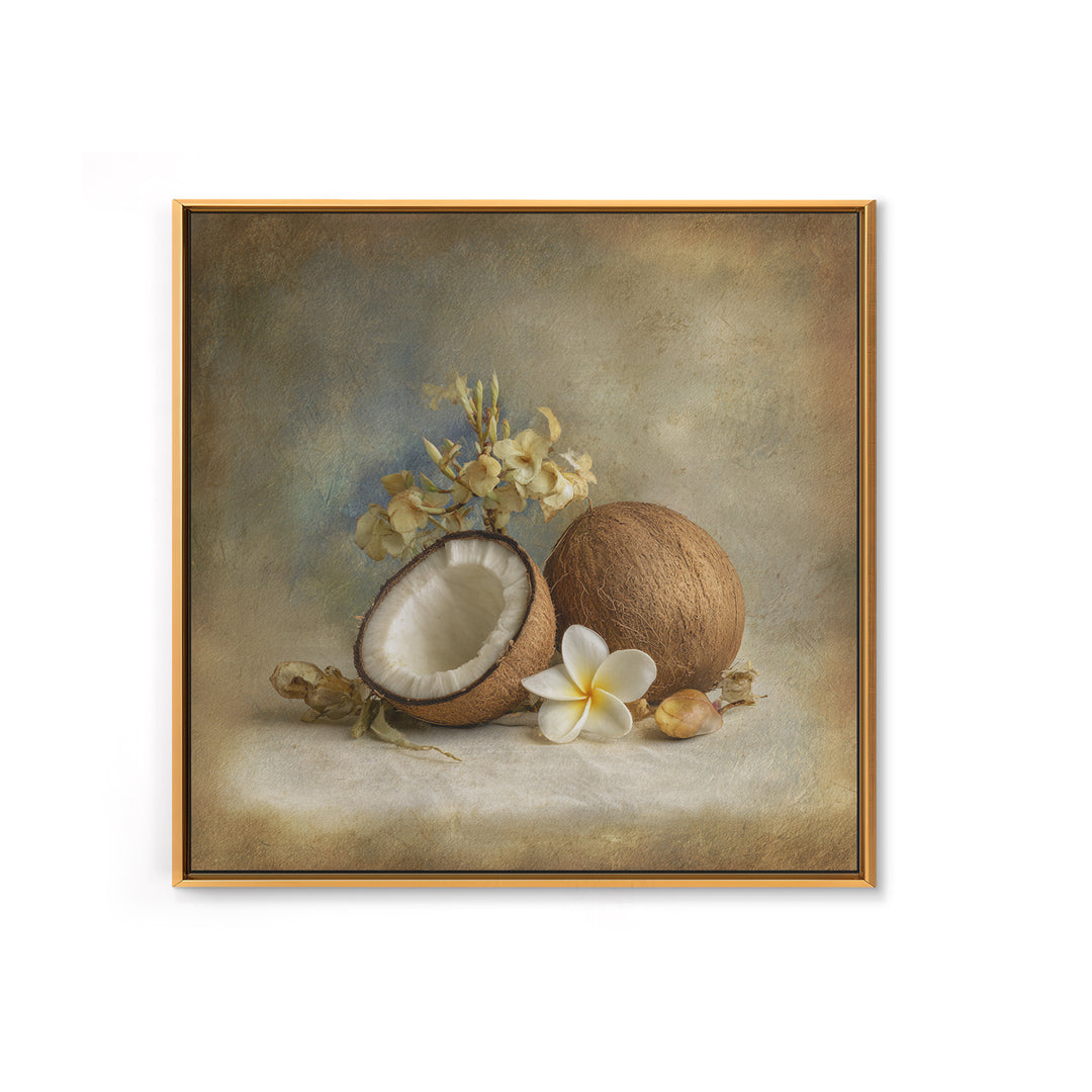 Coconut and Plumeria Still Life Framed Canvas Print, Tropical Art, Decor, Living Room Decor, Fine Art, Tropic, Bird Art, TRO-1x1-12