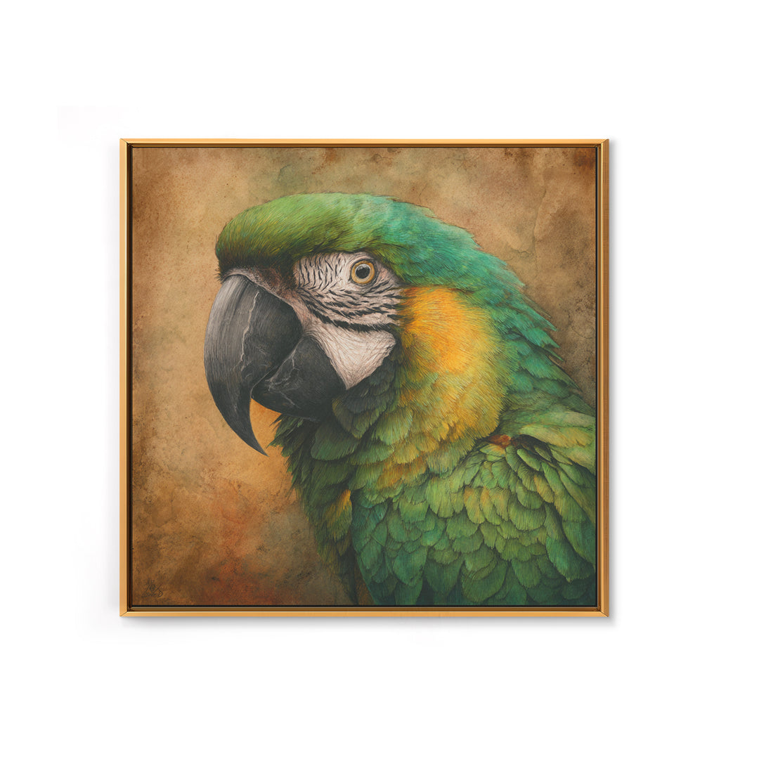 Parrot Portrait with Emerald Feathers Framed Canvas Print, Tropical Art, Gallery Decor, Living Room Decor, Fine Art, Tropic, TRO-1x1-32