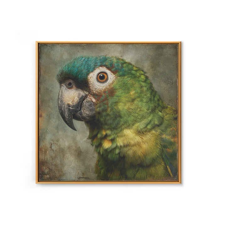 Parrot Portrait with Emerald Feathers Framed Canvas Print, Tropical Art, Digital Print, Living Room Decor, Fine Art, Tropic, TRO-1x1-56