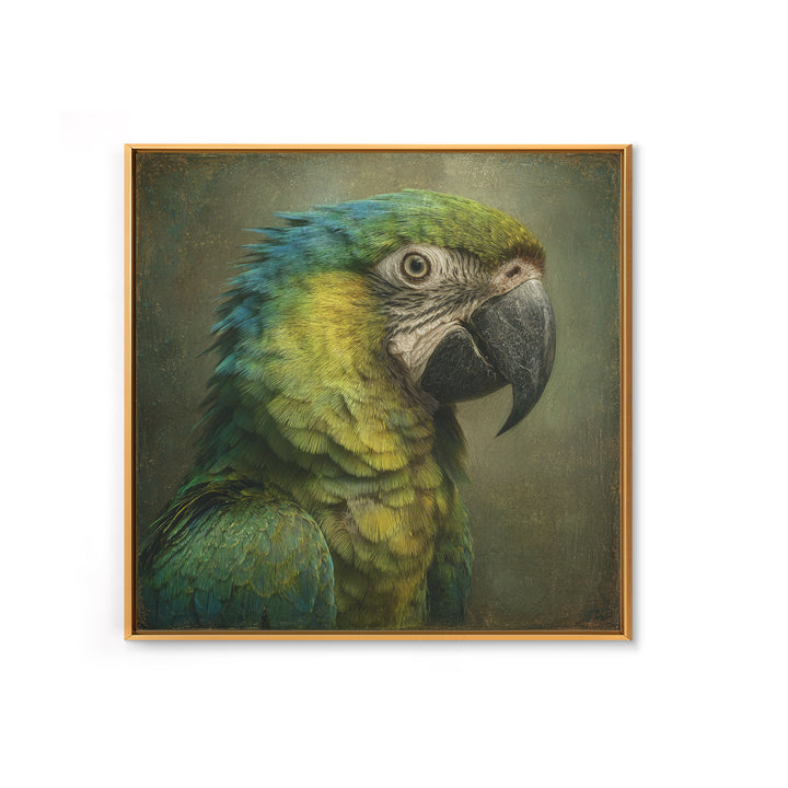 Parrot Portrait with Emerald Feathers Framed Canvas Print, Tropical Art, Fine Art Print, Living Room Decor, Oil Painting, TRO-1x1-80