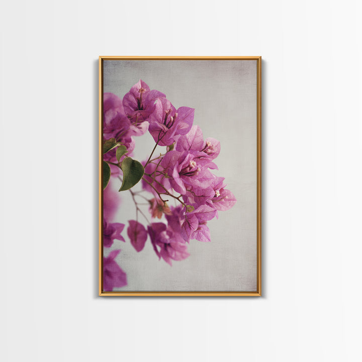 Pink Bougainvillea over White Wall Canvas Print, Tropical Art, Abstract Painting, Living Room Decor, Fine Art, Tropic, TRO-2x3-96