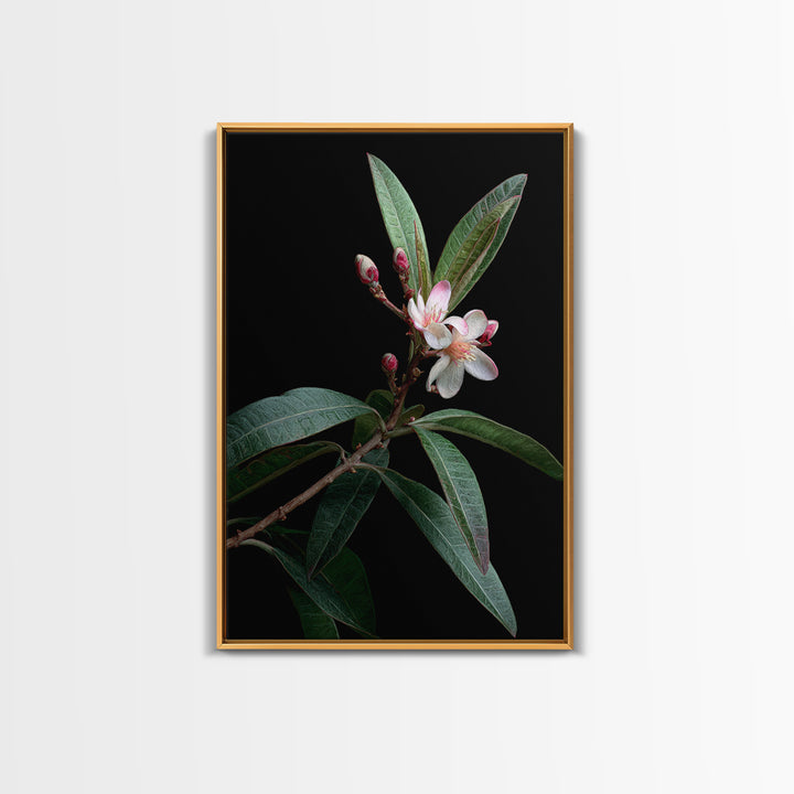 Mango Branch with Leaves and Flowers Framed Canvas Print, Tropical Art, Living Room Decor, Watercolor Art, Tropic, TRO-2x3-98