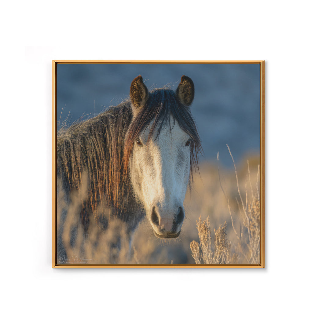 Wild Horse Portrait Framed Canvas Print, Wall Art, Boho Decor, Living Room Decor, Fine Art, Painting, Art Print, WAL-1x1-61