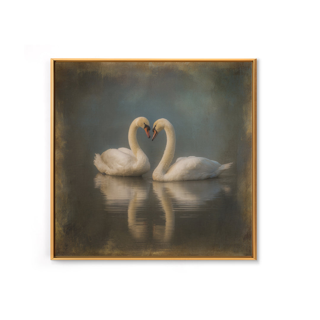 Two Swans Forming a Heart on Dark Canvas Print, Wedding Art, Unique Wedding Gift, Living Room Decor, Fine Art, Romance, WED-1x1-50