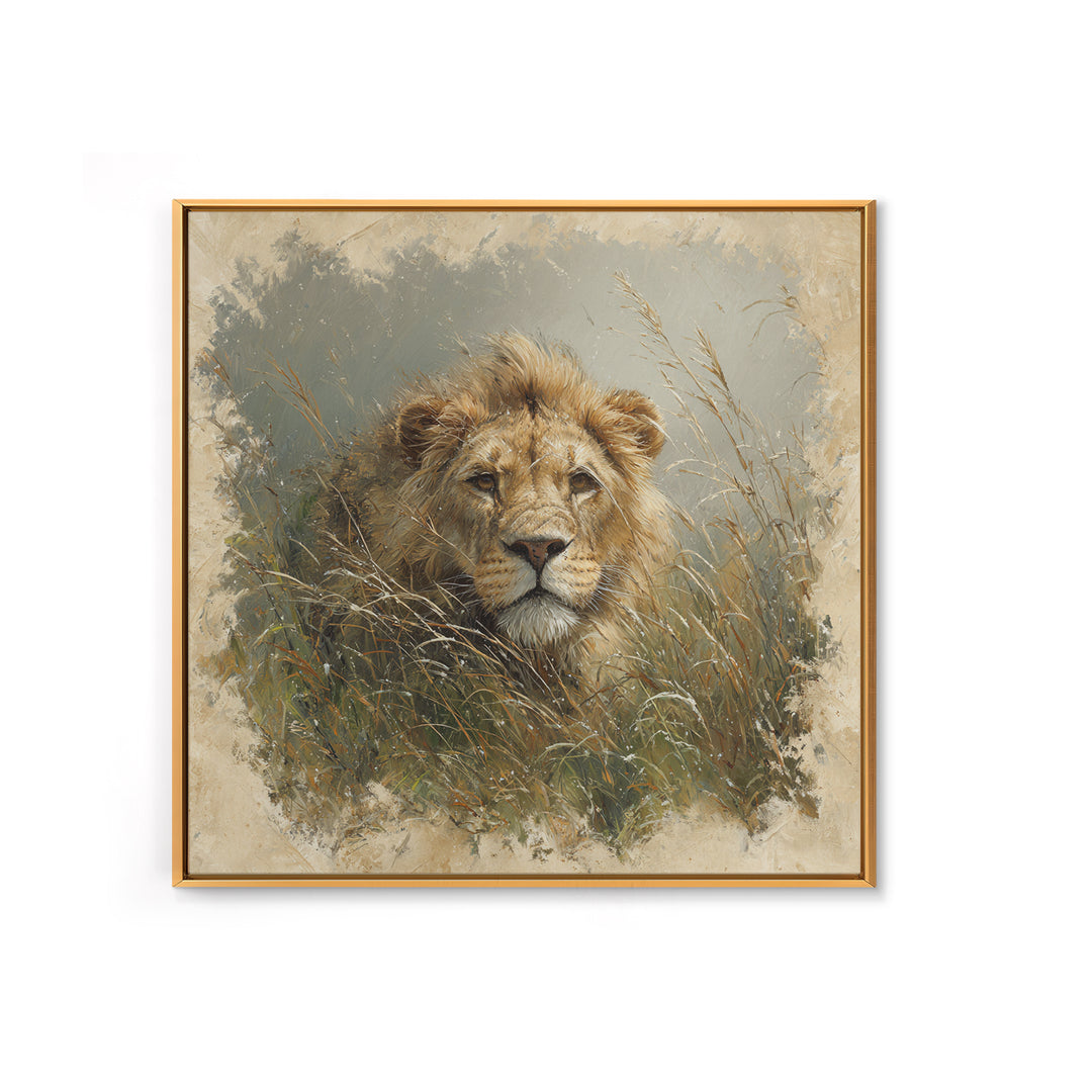 Lion Emerging from Golden Savanna Grass Canvas Print, Wildlife Art, Modern Decor, Living Room Decor, Fine Art, Wild, Home Decor, WIL-1x1-25