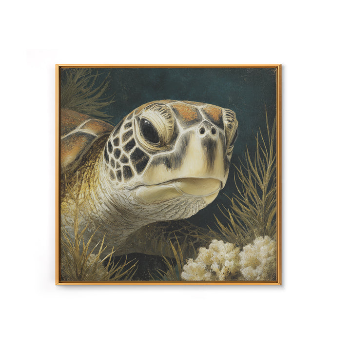 Sea Turtle over Coral Reef Framed Canvas Print, Wildlife Art, Digital Download Art, Living Room Decor, Abstract Art, Wild, WIL-1x1-42
