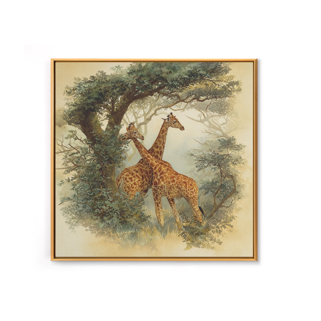 Giraffe Pair under Acacia Tree Framed Canvas Print, Wildlife Art, Living Room Decor, Fine Art, Wild, Living Room Art, WIL-1x1-7
