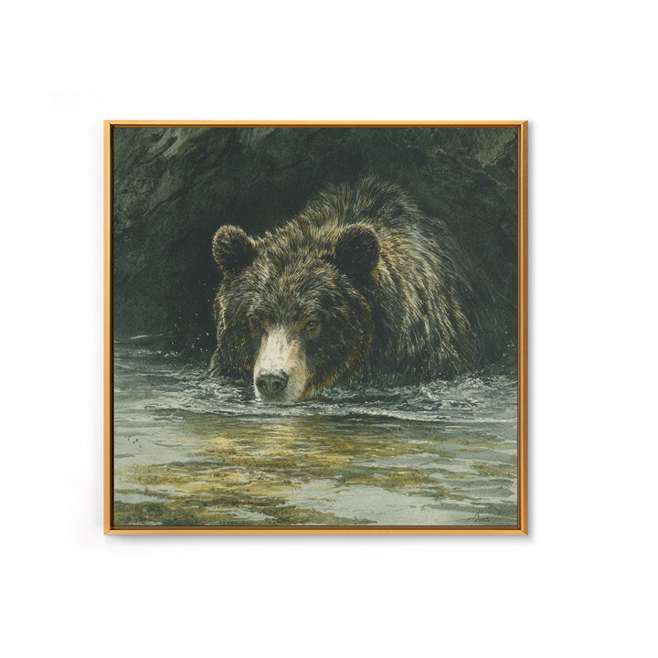 Bear Fishing in Rushing Mountain River Canvas Print, Wildlife Art, Canvas Painting, Living Room Decor, Fine Art, Wild, WIL-1x1-76