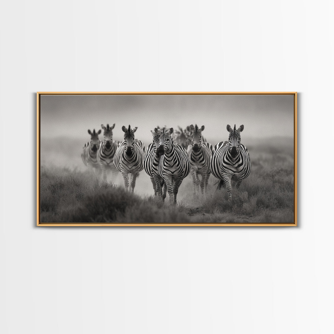 Zebra Herd in Graphic Black and White Framed Canvas Print, Wildlife Art, Boho Wall Decor, Living Room Decor, Fine Art, Wild, WIL-2x1-55