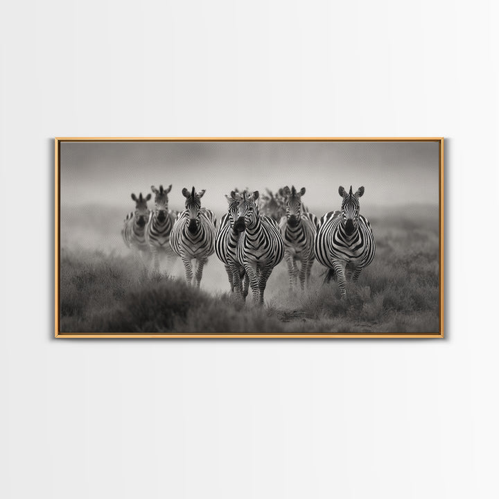 Zebra Herd in Graphic Black and White Framed Canvas Print, Wildlife Art, Boho Wall Decor, Living Room Decor, Fine Art, Wild, WIL-2x1-55