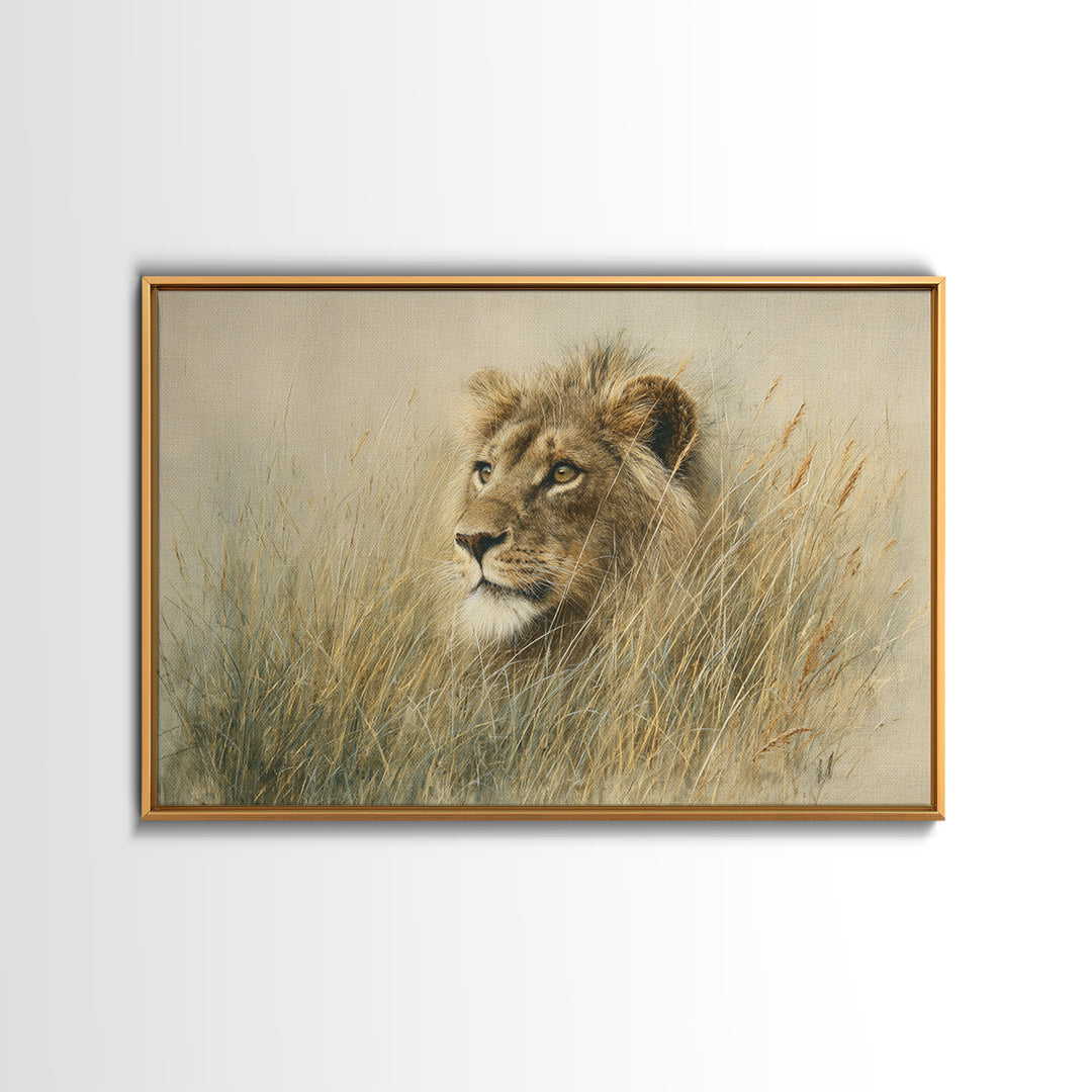 Lion Emerging from Golden Savanna Grass Framed Canvas Print, Wildlife Art, Gallery Decor, Living Room Decor, Fine Art, Wild, WIL-3x2-77