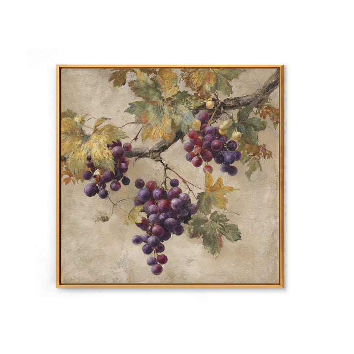 Grapevine Branch with Purple Grapes and Leaves Framed Canvas Print, Winery Art, Home Decor, Winery Decor, Fine Art, Vineyard, WIN-1x1-73