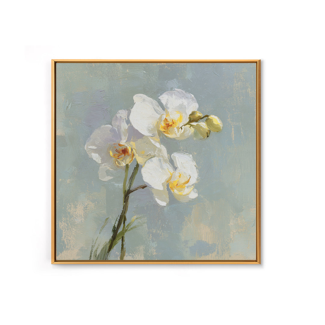 White Orchid on Light Gray Ground Canvas Print, Waiting Room Art, Office Wall Decor, Waiting Room Decor, Fine Art, Calm, WRA-1x1-31