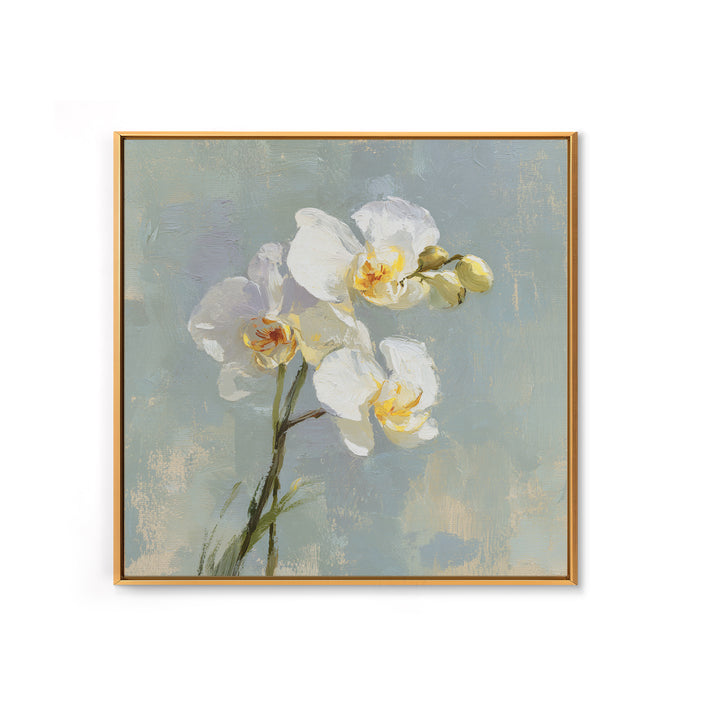 White Orchid on Light Gray Ground Canvas Print, Waiting Room Art, Office Wall Decor, Waiting Room Decor, Fine Art, Calm, WRA-1x1-31
